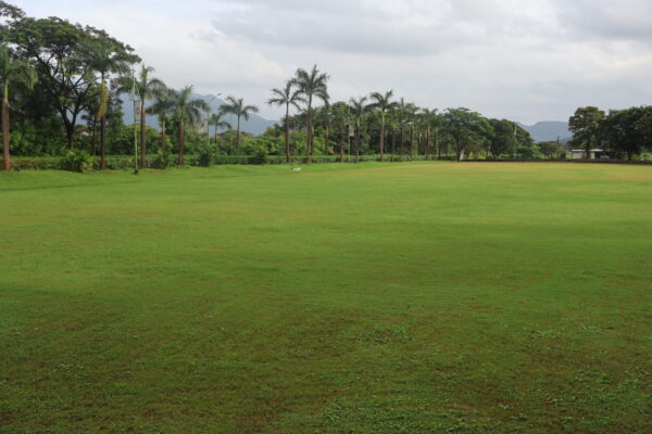 Best Green Feild Ground