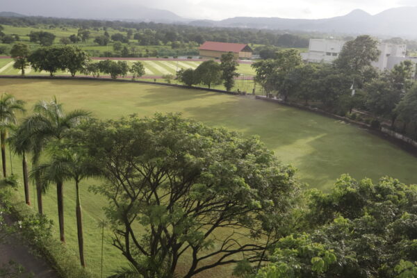 Cricket ground